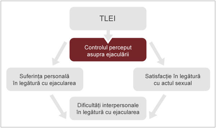 Graficul 2: Relațiile dintre diferite măsurători ale EP